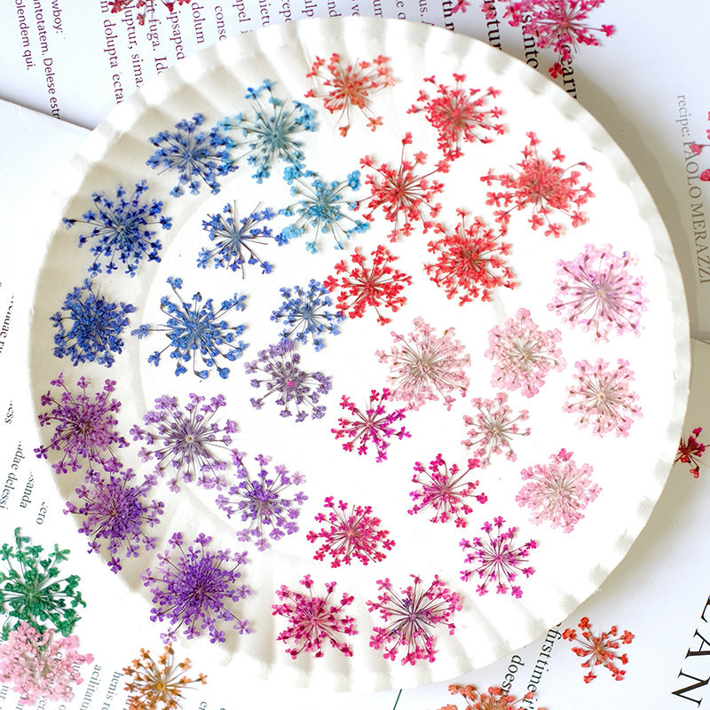 24pcs,2-2.5cm,nature Dyed Mini - Resin Art Design ulasan dan harga