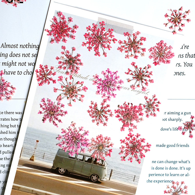 24pcs,2-2.5cm,nature Dyed Mini - Resin Art Design ulasan dan harga